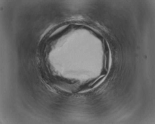 X0000072981400200608211338