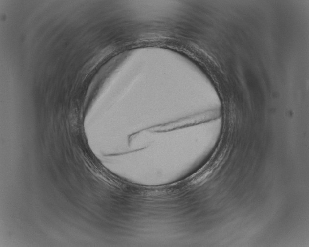 X0000072981401200608211338