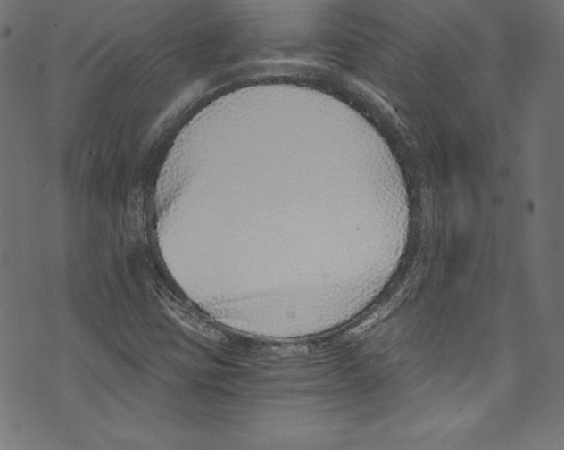 X0000072981403200608211338