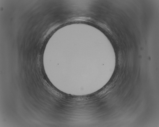 X0000072981404200608211338