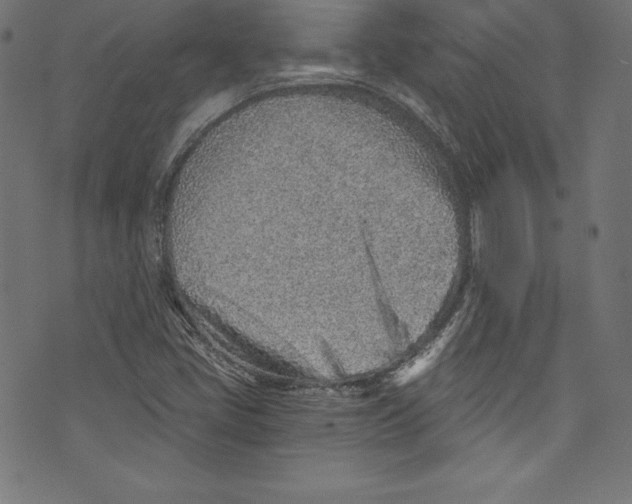 X0000072981405200608211338