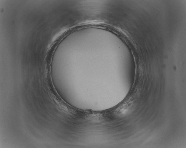 X0000072981406200608211338