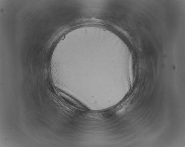 X0000072981407200608211338