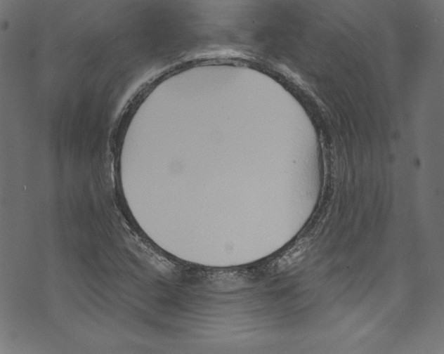 X0000072981408200608211338