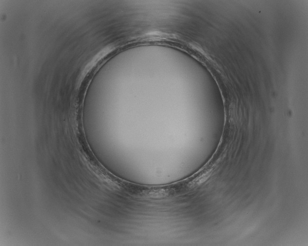 X0000072981410200608211338