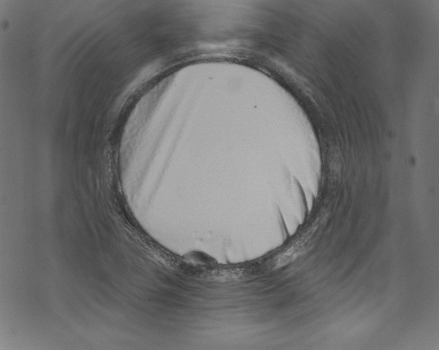 X0000072981411200608211338