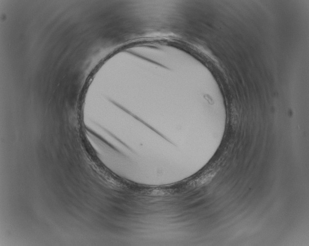 X0000072981412200608211338