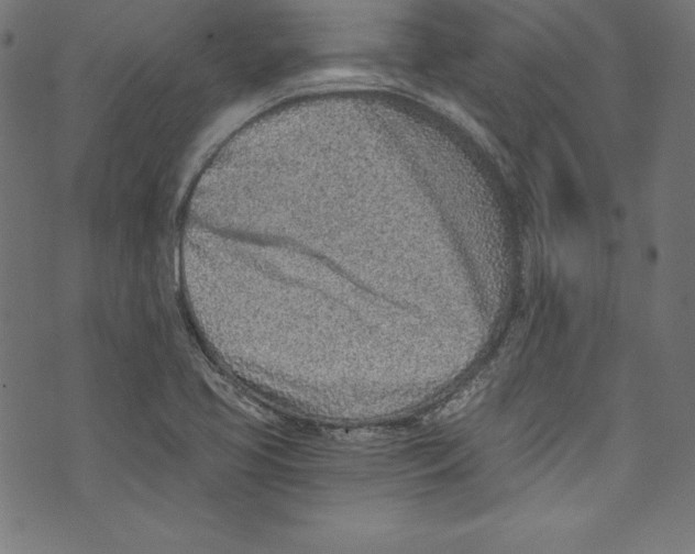 X0000072981413200608211338