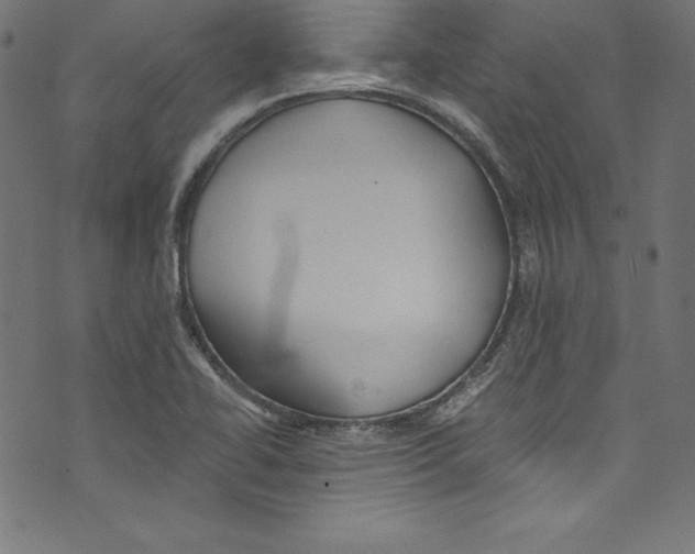 X0000072981414200608211338