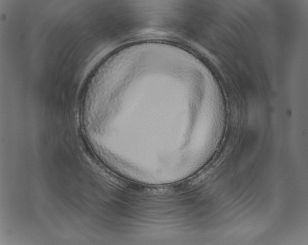 X0000072981415200608211338