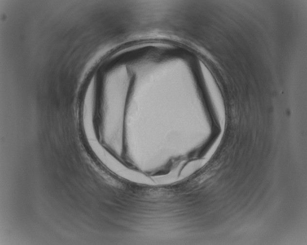 X0000072981416200608211338