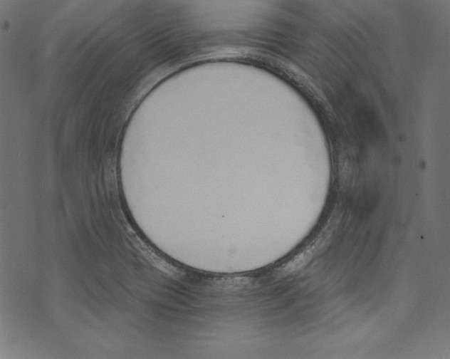 X0000072981417200608211338