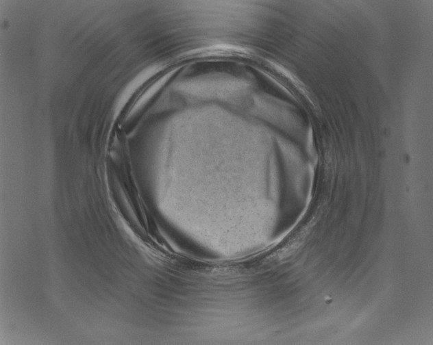 X0000072981418200608211338