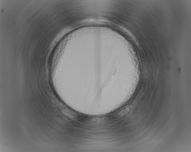 X0000072981419200608211338