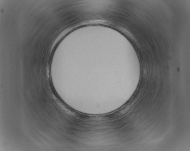 X0000072981420200608211338