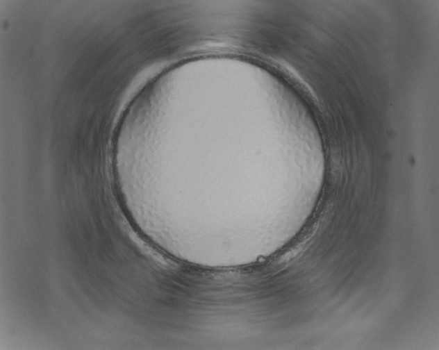 X0000072981421200608211338