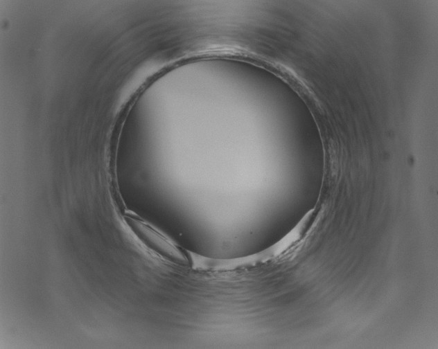 X0000072981422200608211338