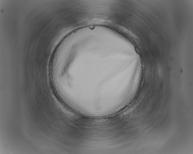 X0000072981423200608211338