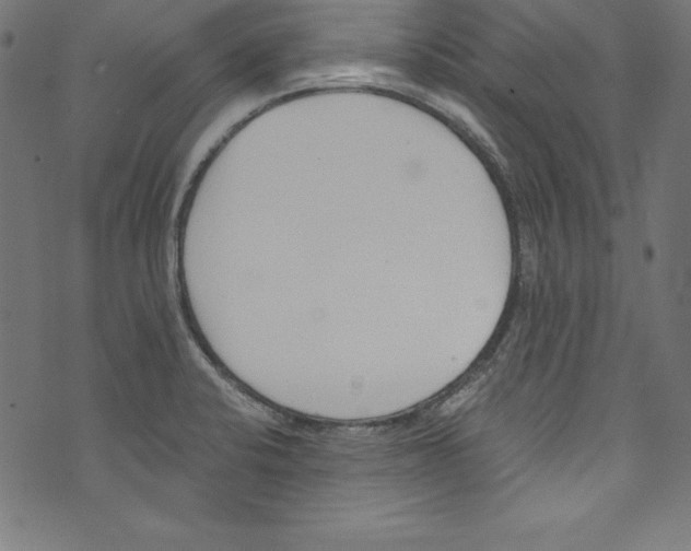 X0000072981424200608211338