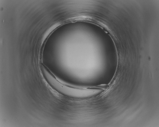 X0000072981426200608211338