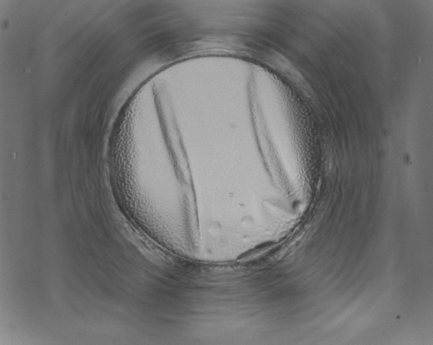 X0000072981427200608211338