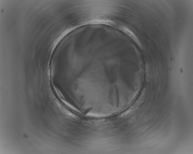 X0000072981428200608211338