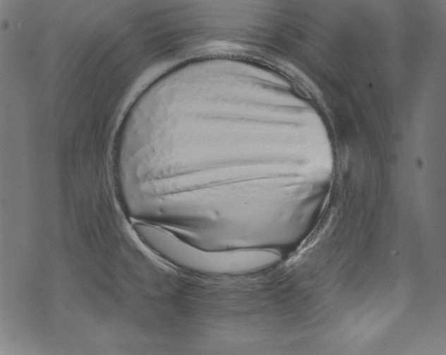 X0000072981429200608211338