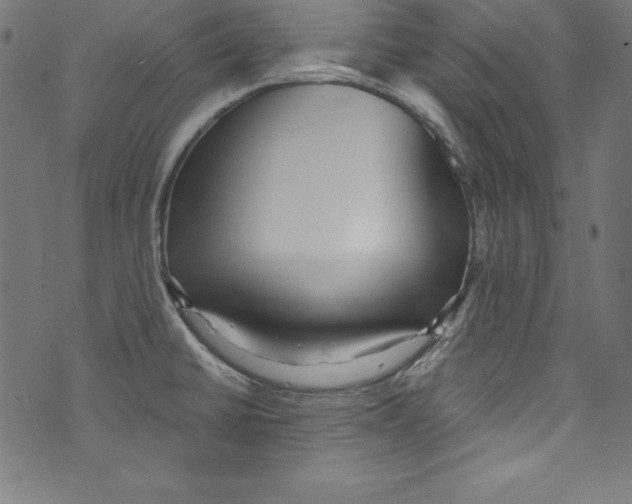 X0000072981430200608211338