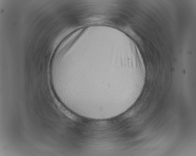 X0000072981431200608211338