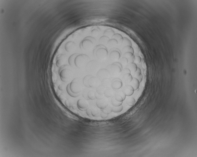 X0000072981432200608211338