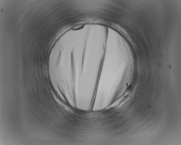 X0000072981433200608211338