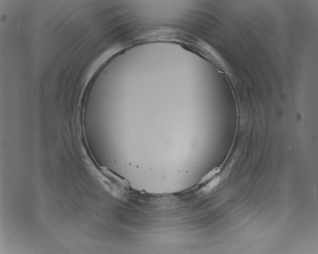 X0000072981434200608211338