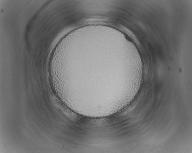 X0000072981435200608211338