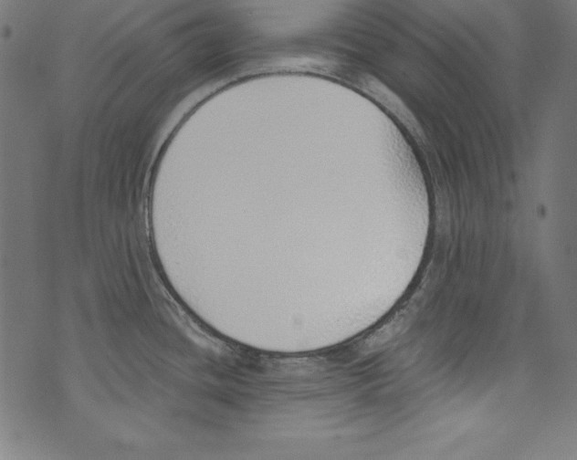 X0000072981436200608211338