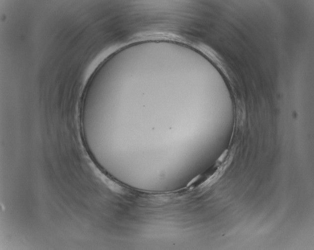 X0000072981438200608211338