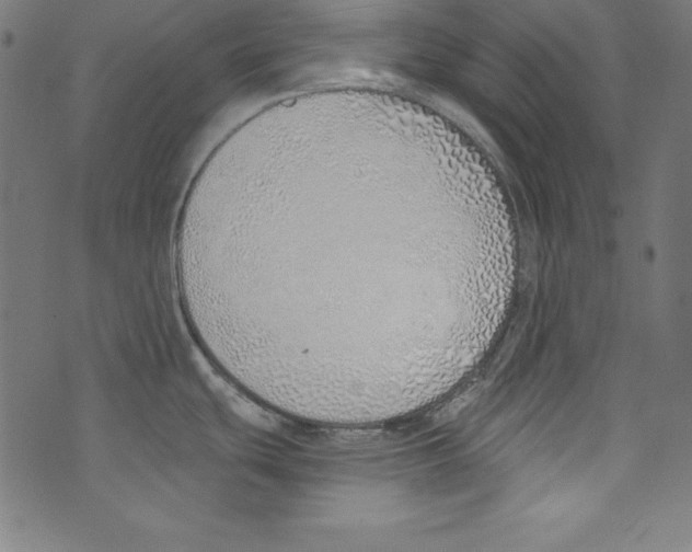 X0000072981439200608211339