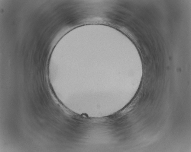 X0000072981440200608211339