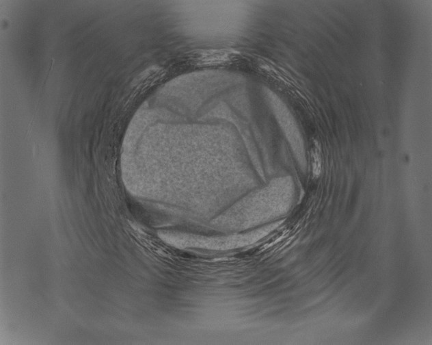 X0000072981441200608211338