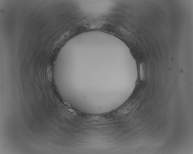 X0000072981443200608211338