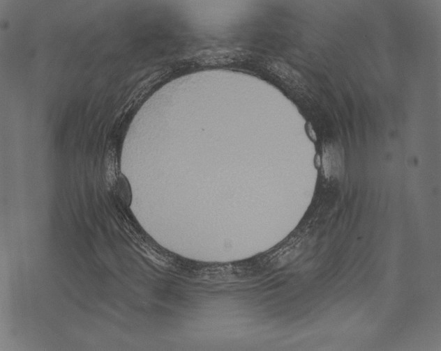 X0000072981444200608211338