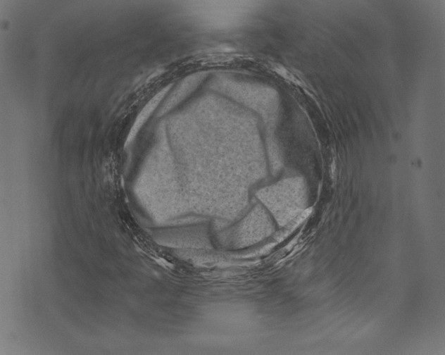 X0000072981445200608211338