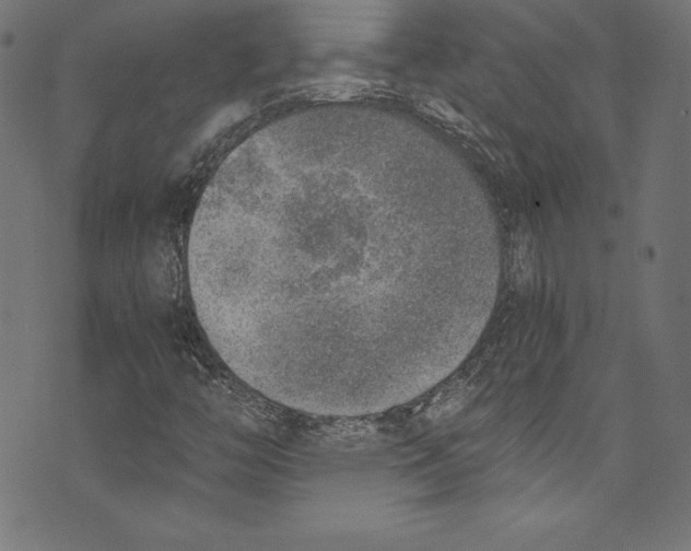 X0000072981446200608211338