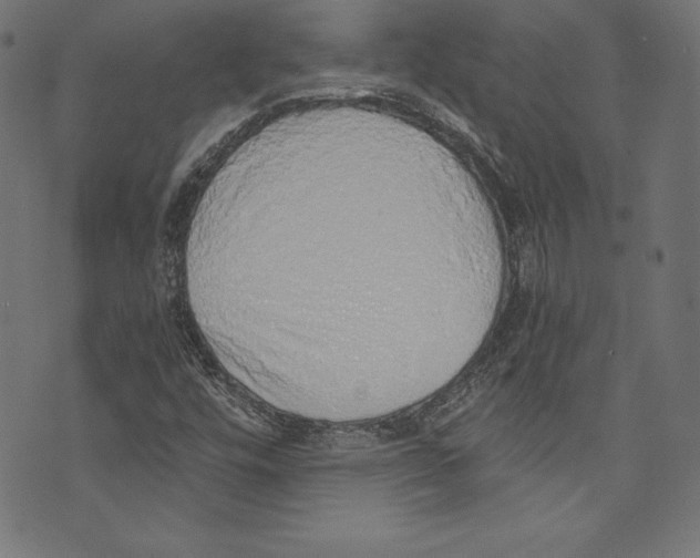 X0000072981448200608211338