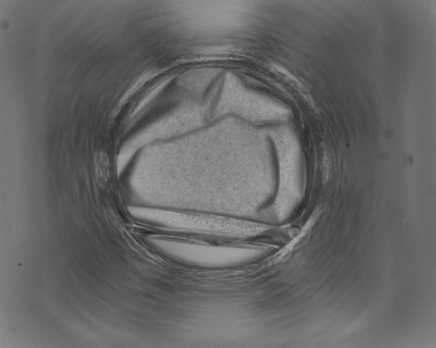 X0000072981449200608211338