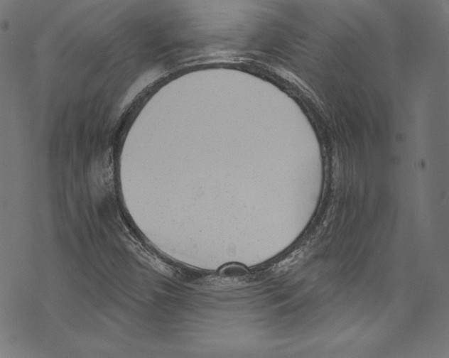 X0000072981450200608211338