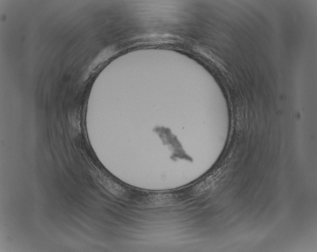 X0000072981451200608211338