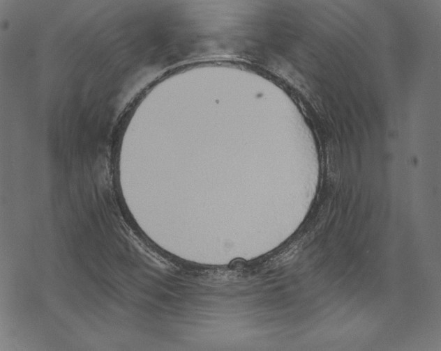 X0000072981452200608211338