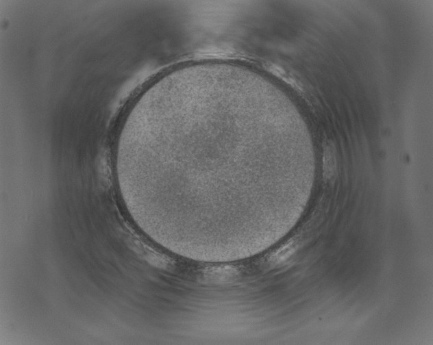 X0000072981454200608211338