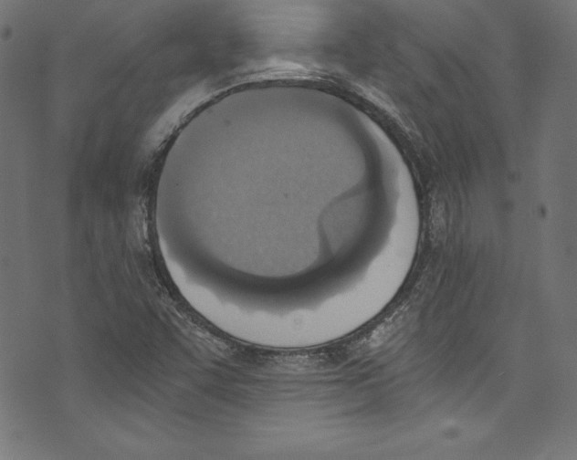 X0000072981455200608211338