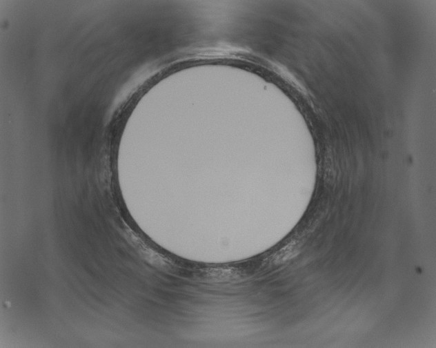 X0000072981456200608211338